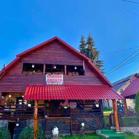 ホテル Cabana Ancuta ブルトプ エクステリア 写真