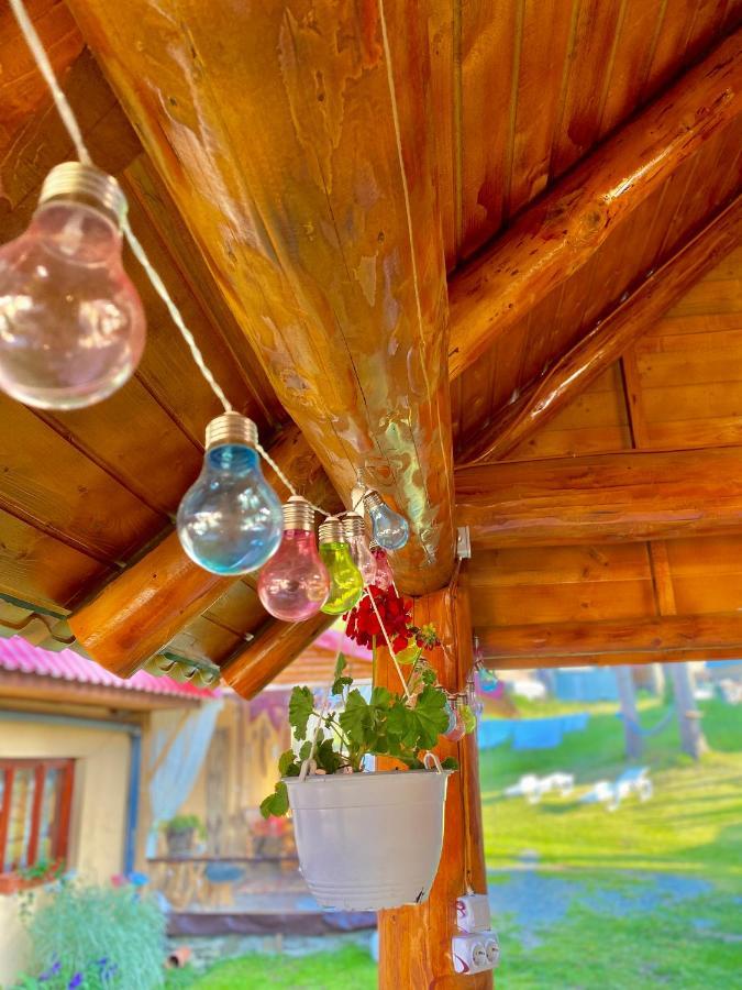 ホテル Cabana Ancuta ブルトプ エクステリア 写真