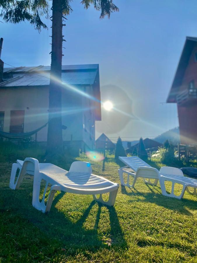 ホテル Cabana Ancuta ブルトプ エクステリア 写真